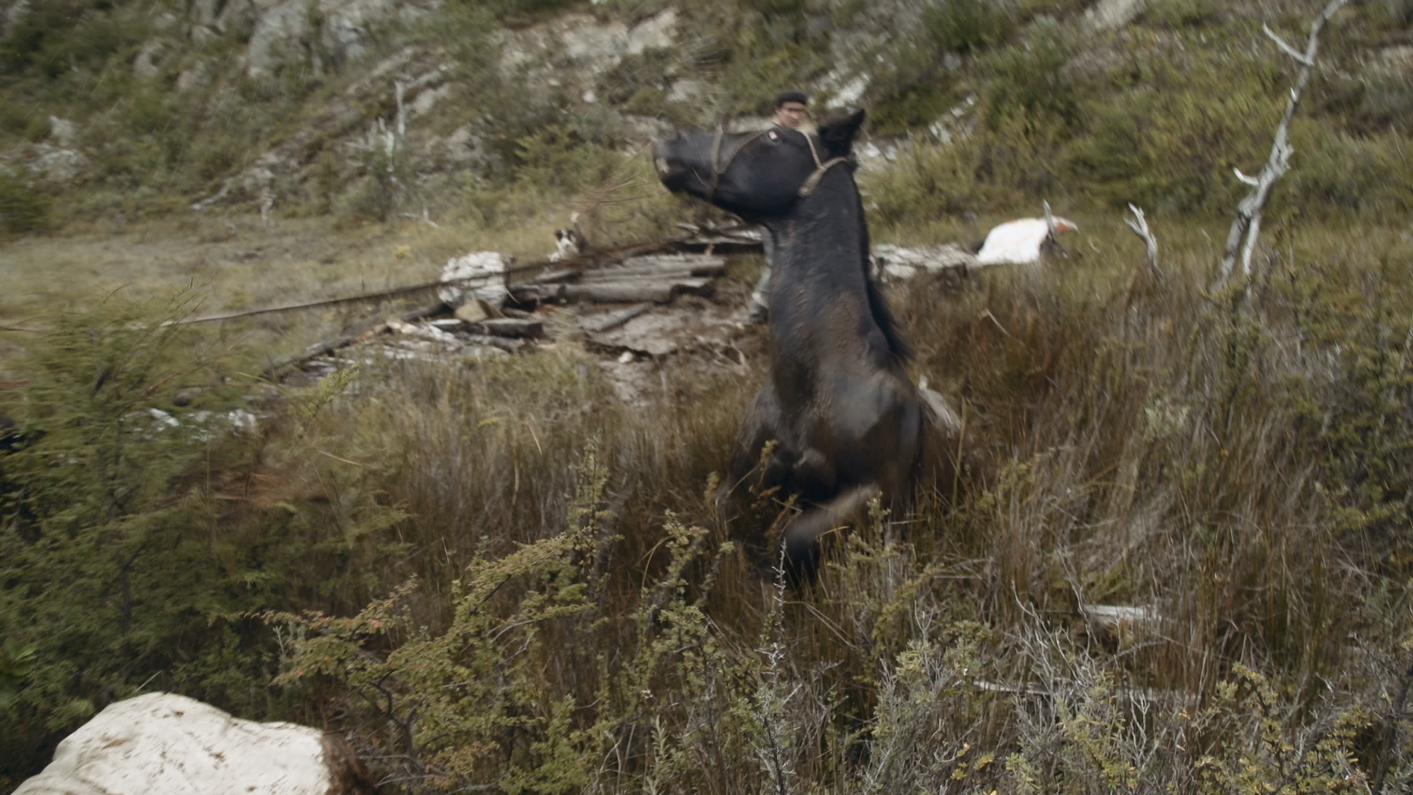 GAUCHO - THE LAST COWBOYS OF PATAGONIA